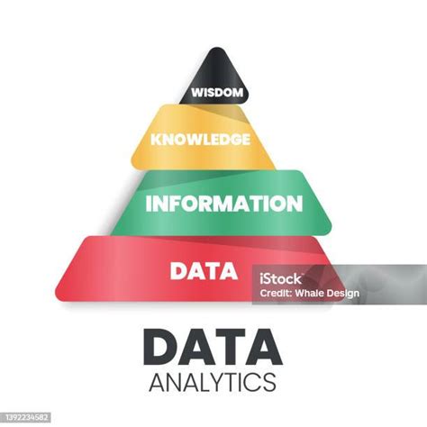 La Pyramide Danalyse De Données A Une Base De Données Solide Contenant