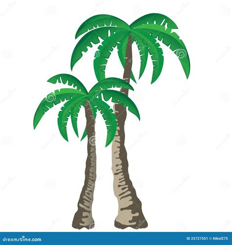 Palmeras Tropicales Aisladas En El Fondo Blanco Ilustraci N Del Vector