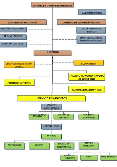 Estructura Org Nica Antecedentes De La Cooperativa De Ahorro Y