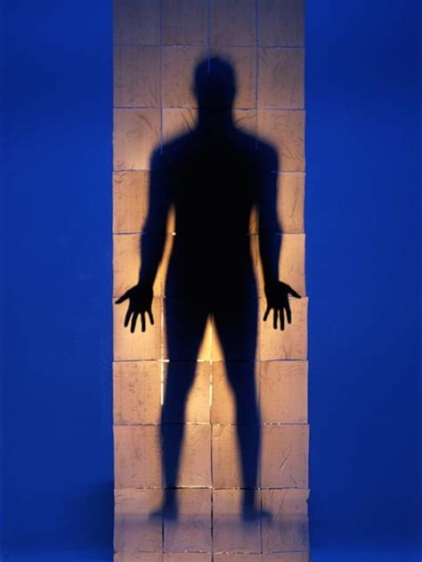 skin information  facts national geographic national geographic