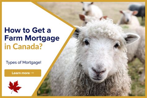 How To Get A Farm Mortgage In Canada Lionsgate Financial Group