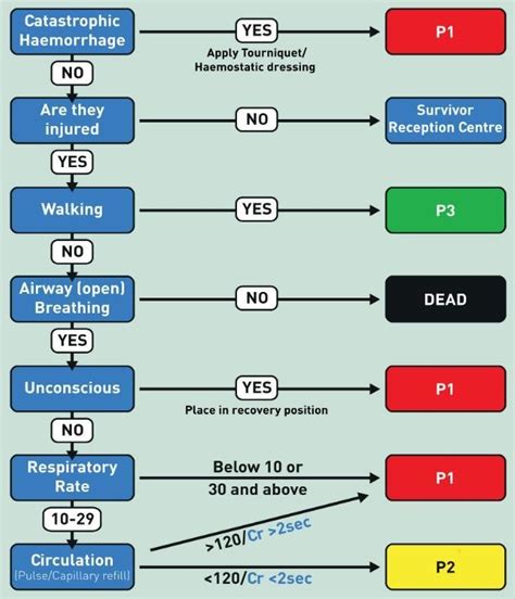 Using The South African Triage Scale For Prehospital 56 Off