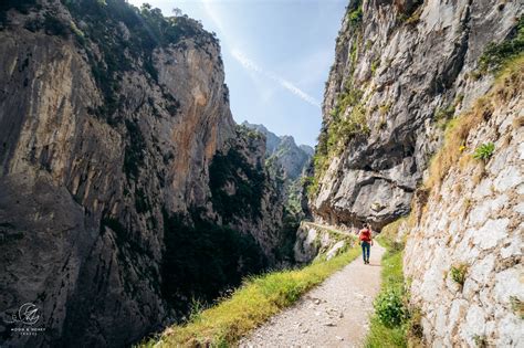 Hiking in Picos de Europa, Spain: Day Hikes and Treks