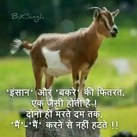 Pin By Allanswer On Hindu S Friendship Quotes In Hindi Superb Quotes