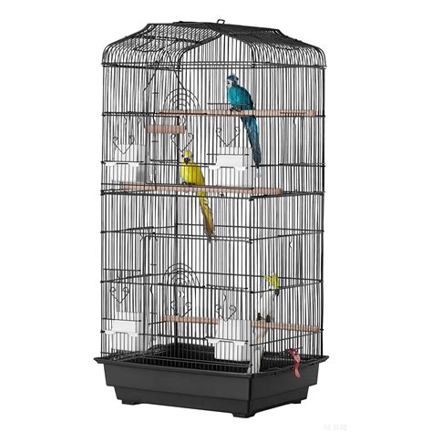 best canary hiding safely 9