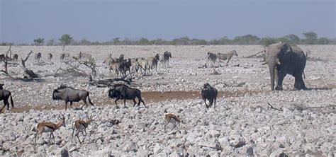 Namibia – Wildlife-Lodges