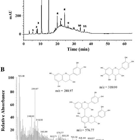 Hplc Dad Esi Ms Analysis Of The Ethanolic Extract Of Mimosa