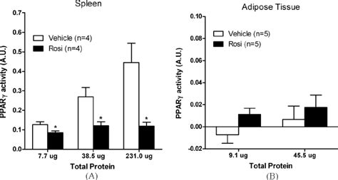 Graph Showing Ppar C Dna Binding Activity In Nuclear Extractions Of A Download Scientific