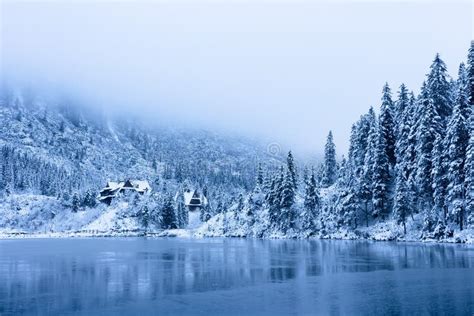 Winter Nature Snowy Trees On Icy Lake Shore In Mountains Scenic