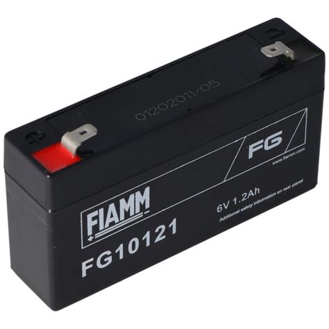 Fiamm Fg Alg Systems Ag