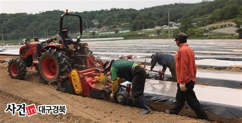 한농연 봉화군연합회 회원농가 우박피해 일손돕기다경뉴스