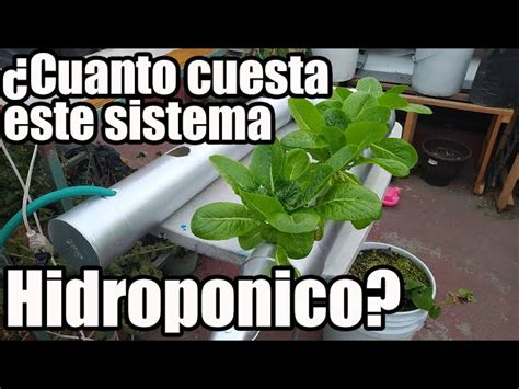 Cuánto cuesta un sistema de hidroponía Costo de implementar un