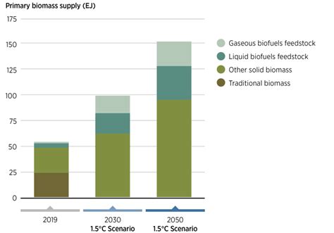 Policies For Sustainable Bioenergy