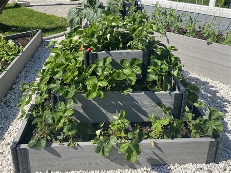 Теплые грядки ДПК NauticPrime средние