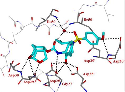 Figure From Design And Development Of Highly Potent Hiv Protease