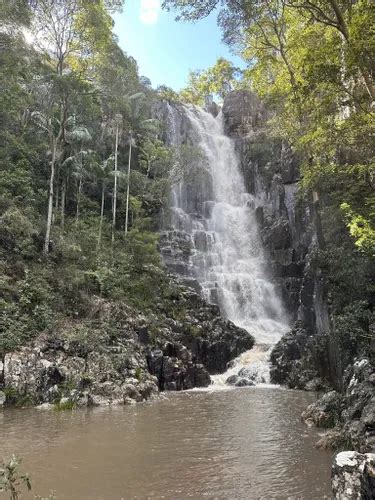 Best Waterfall Trails In Mount Barney National Park Alltrails