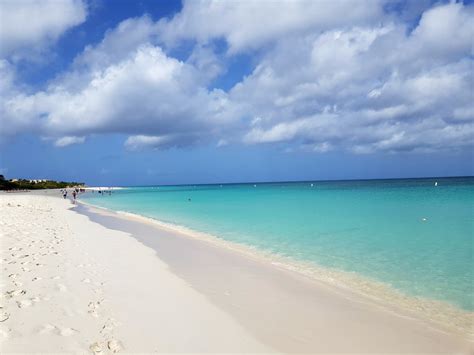 bimini bimini 7