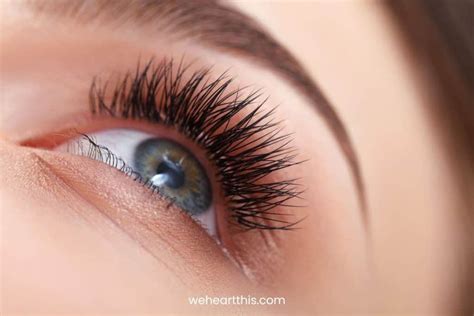 Argan Oil For Eyelashes Does It Help Your Lashes Grow