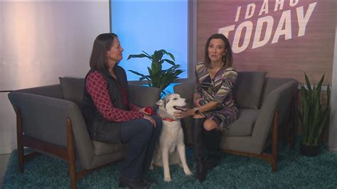 Idaho Today: Pet Talk with Idaho Humane Society | ktvb.com