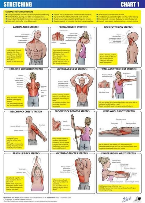 General Hand Stretches