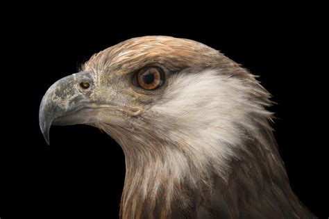 Bir040 00076 Joel Sartore