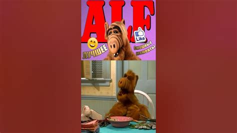 Альф секретарь 💎 #альф #alf #shorts #сериал #топ #top #рекомендации ...