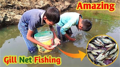 गांव के बच्चे मछली कैसे पकड़ते हैं देखिए Funny Fishing Kids