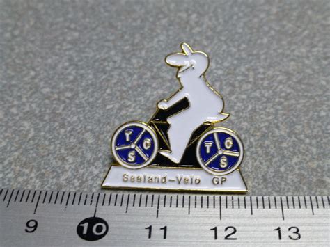 Pin Auto Tcs Touring Club Schweiz Logo Kaufen Auf Ricardo