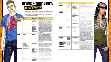 Effects Of Drugs On The Body - Effect Choices