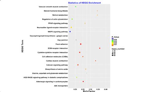 Kegg Pathway Analysis Of Deg Advanced Bubble Chart Shows Enrichment Of