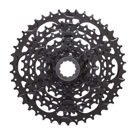 Acolyte | Microshift