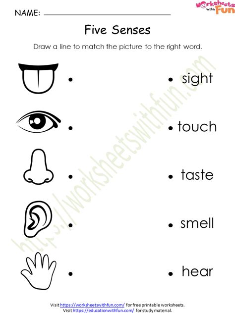 Environmental Science Class Five Senses Worksheet Wwf