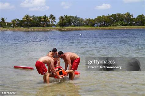 21 Homestead Bayfront Park Stock Photos, High-Res Pictures, and Images ...