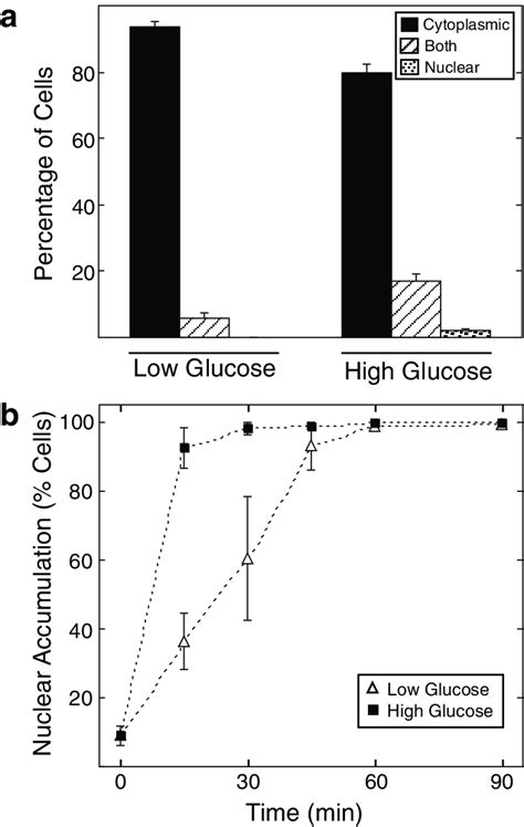 The Rate Of Chrebp Nuclear Entry Is Increased In High Glucose