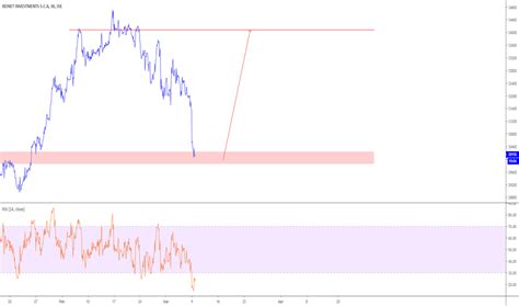 rni stock price  chart jserni tradingview