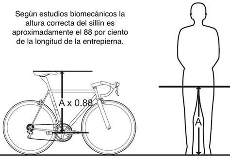 2 Formas De Ajustar La Altura Del Sillin Correctamente Soportix