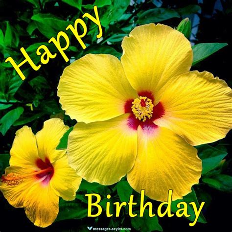 Happy Birthday Flowers Images