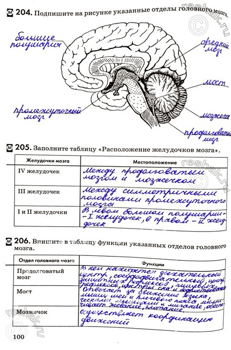 (Решено)Страница 100 ГДЗ Рабочая тетрадь Колесов Маш 8 класс по ...