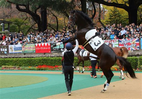 伝説の毎日王冠 3強馬券 サイレンススズカ グラスワンダー エルコンドルパサー その他