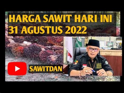 Harga Sawit Hari Ini 31 Agustus 2022 YouTube