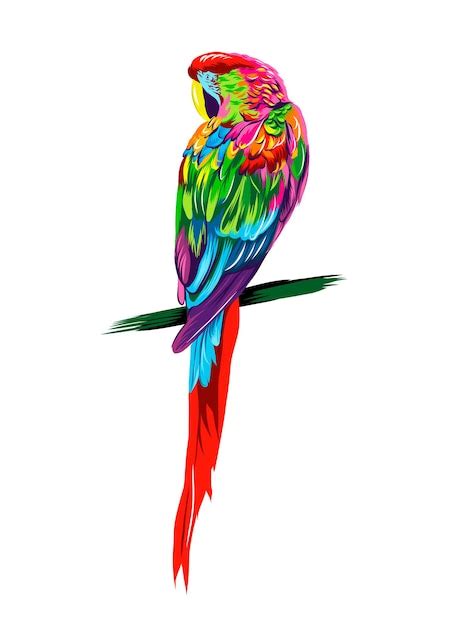 Premium Vector Parrot Macaw From Multicolored Paints Splash Of