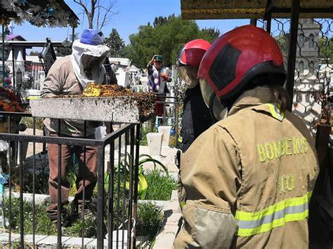 Protección Civil Chicoloapan emite recomendaciones ante presencia de