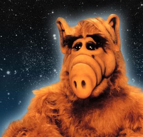 Alf Images Alf Dans Les étoiles Wallpaper And Background Photos 36950329