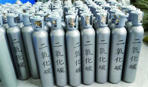 L Industrial Co Seamless Steel Portable Carbon Dioxide Gas Cylinder