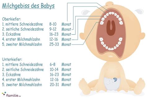 Milchgebiss Wann kommen Babys Zähne