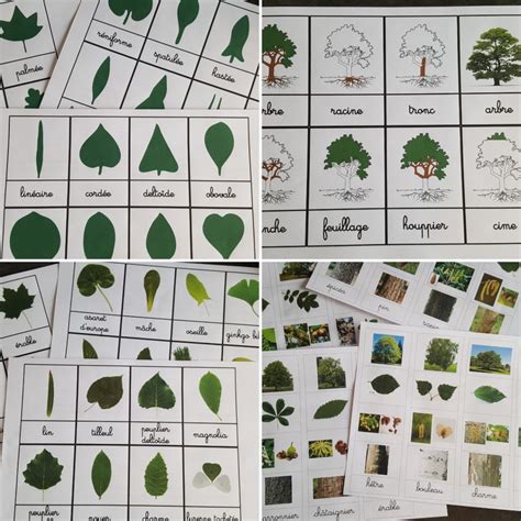 La nature en maternelle programme inspiré de la pédagogie de Charlotte