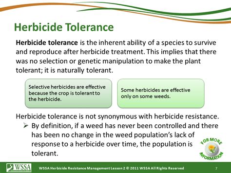 Herbicide Resistant Weeds Training Lessons How Herbicides Work Cotton Incorporated