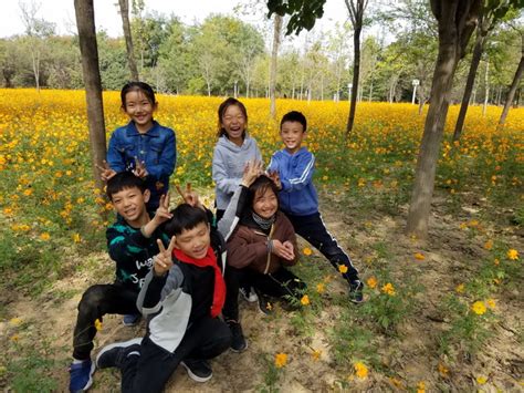 与秋天拥抱，和快乐同行！ 河南省实验学校郑东小学