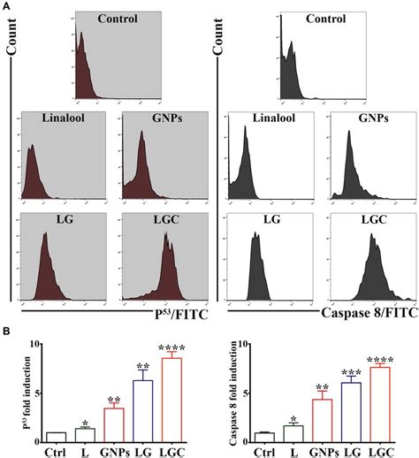 Lg And Lgc Up Regulated Of Caspase 8 And P 53 Level In Skov 3 Cells