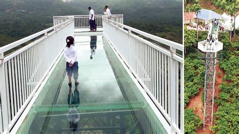 Glass bridge in Kodagu offers thrilling encounter with nature - Star of ...